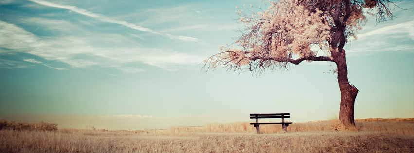 Cover Photo